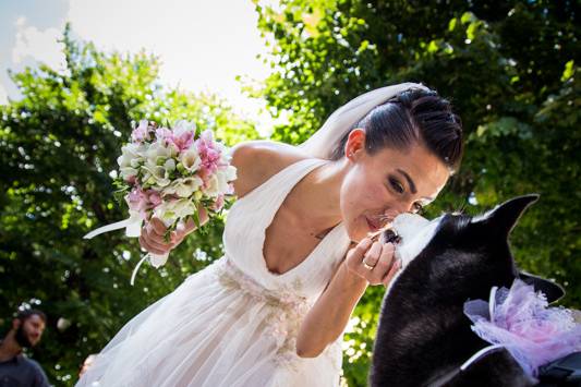 Dog sitter per Matrimoni Athena