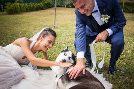 Dog sitter per Matrimoni Athena