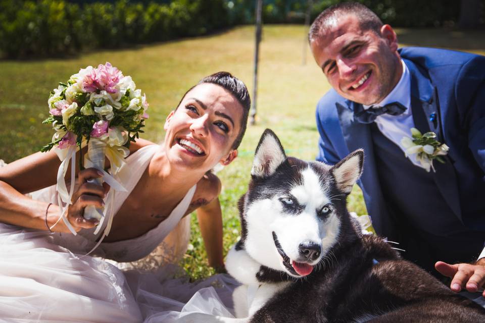 Dog sitter matrimonio