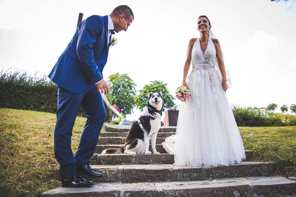 Dog sitter per Matrimoni Athena