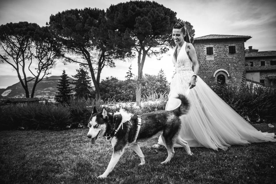 Dog sitter per Matrimoni Athena