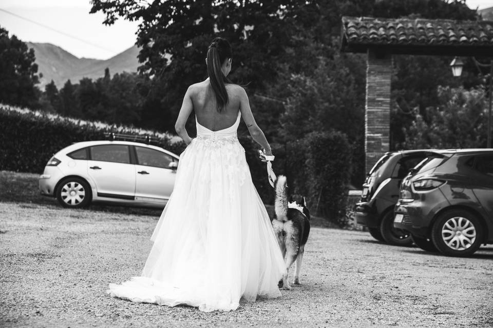 Dog sitter per Matrimoni Athena