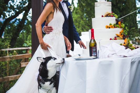 Dog sitter per Matrimoni Athena