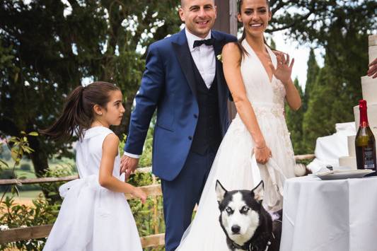 Dog sitter per Matrimoni Athena