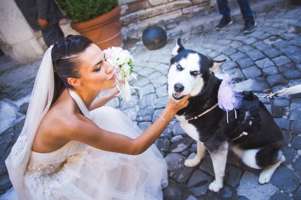 Dog sitter per Matrimoni Athena