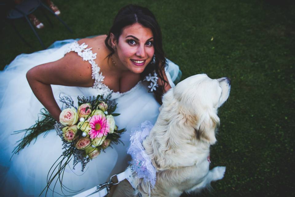 Dog sitter per Matrimoni Athena