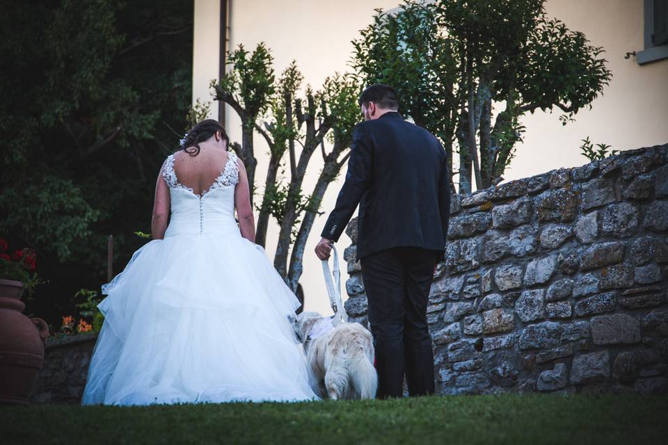 Dog sitter per Matrimoni Athena