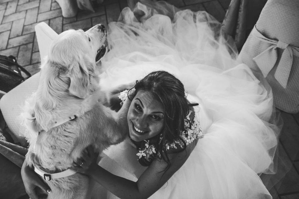 Dog sitter per Matrimoni Athena