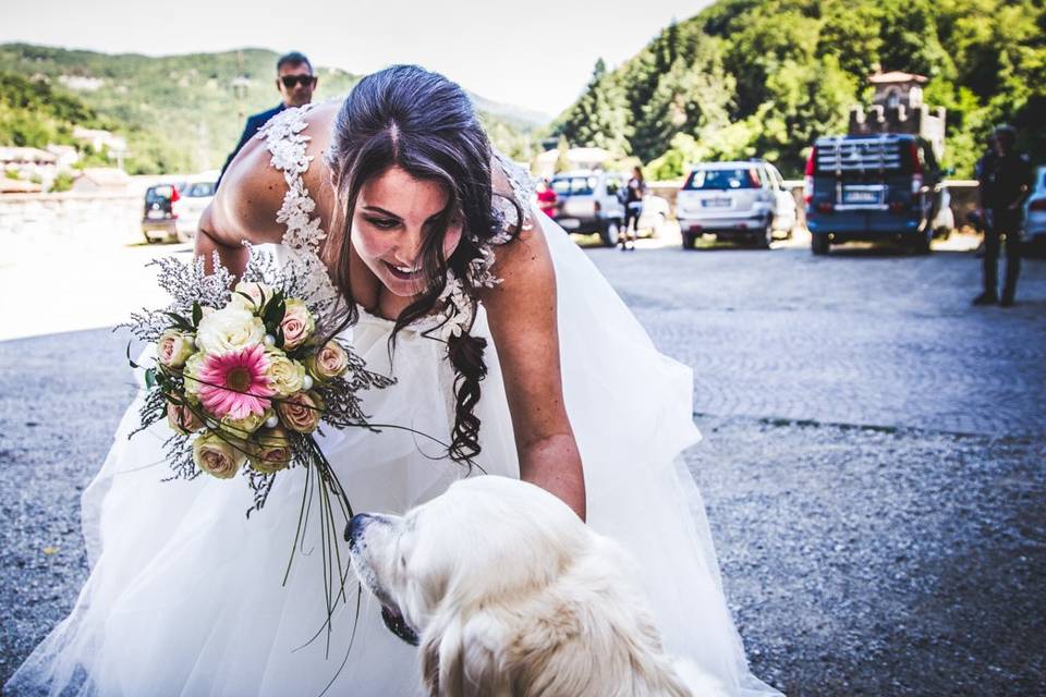 Dog sitter per Matrimoni Athena