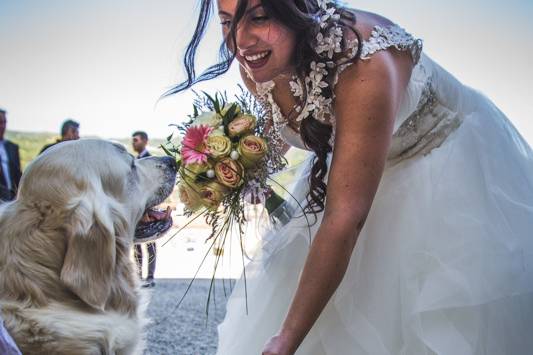 Dogsitter per matrimoni