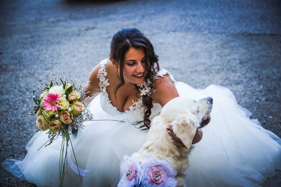 Dog sitter per Matrimoni Athena