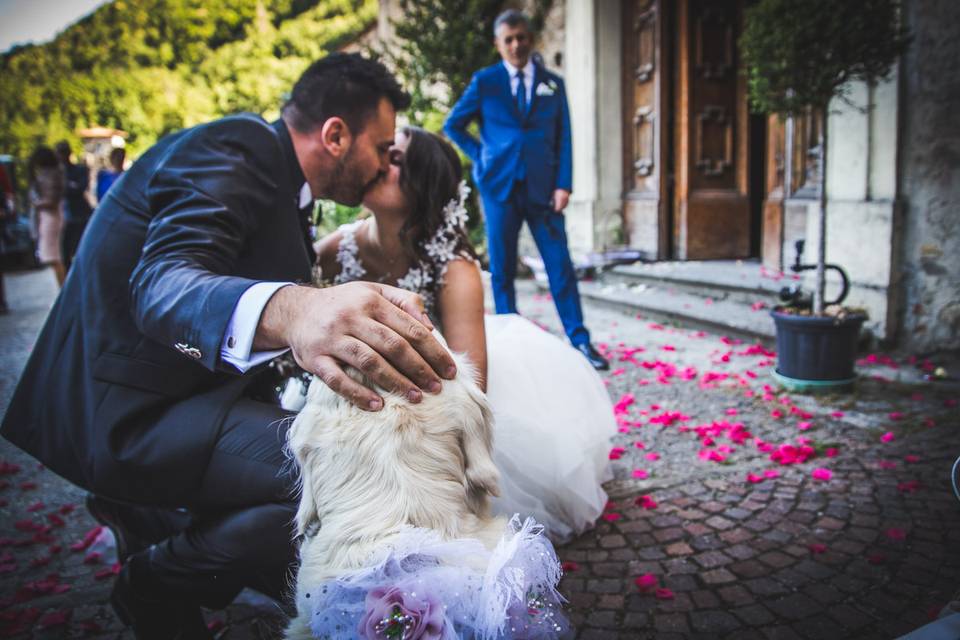 Dog sitter per Matrimoni Athena