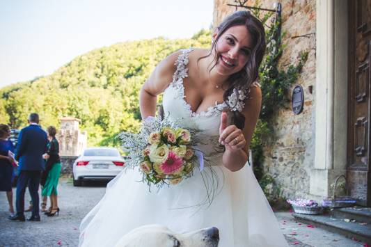 Dog sitter per Matrimoni Athena