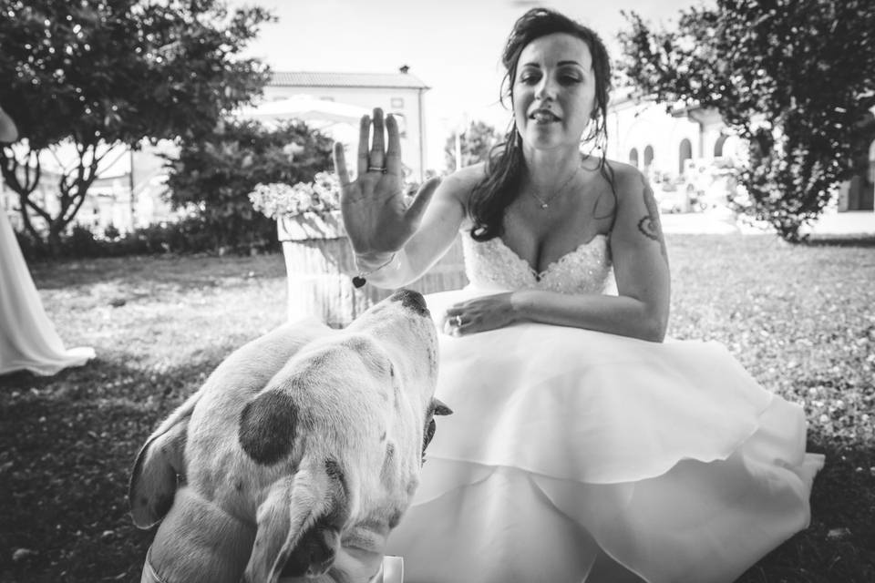 Dog sitter per Matrimoni Athena