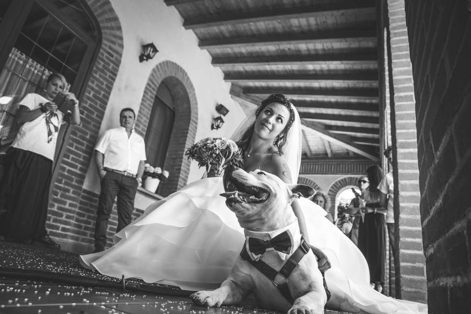 Dog sitter per Matrimoni Athena