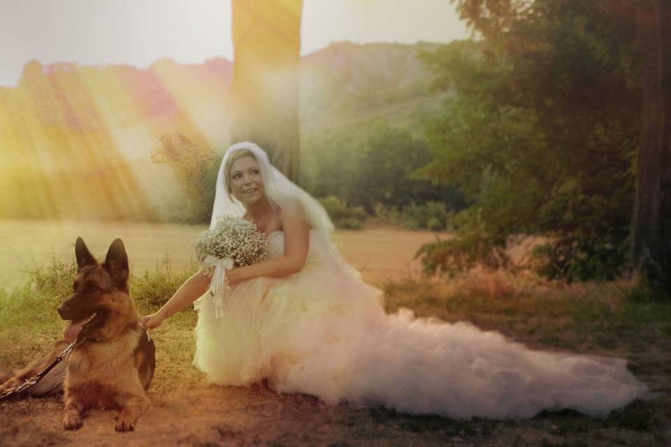 Dog sitter per Matrimoni Athena