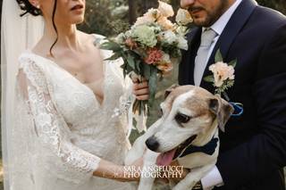 Sara Angelucci Photography