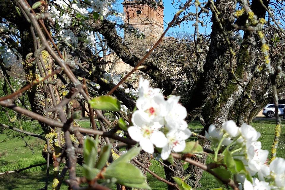 Palazzo di Cuzzano