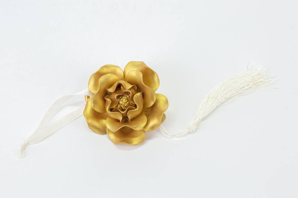 Rosa appendino