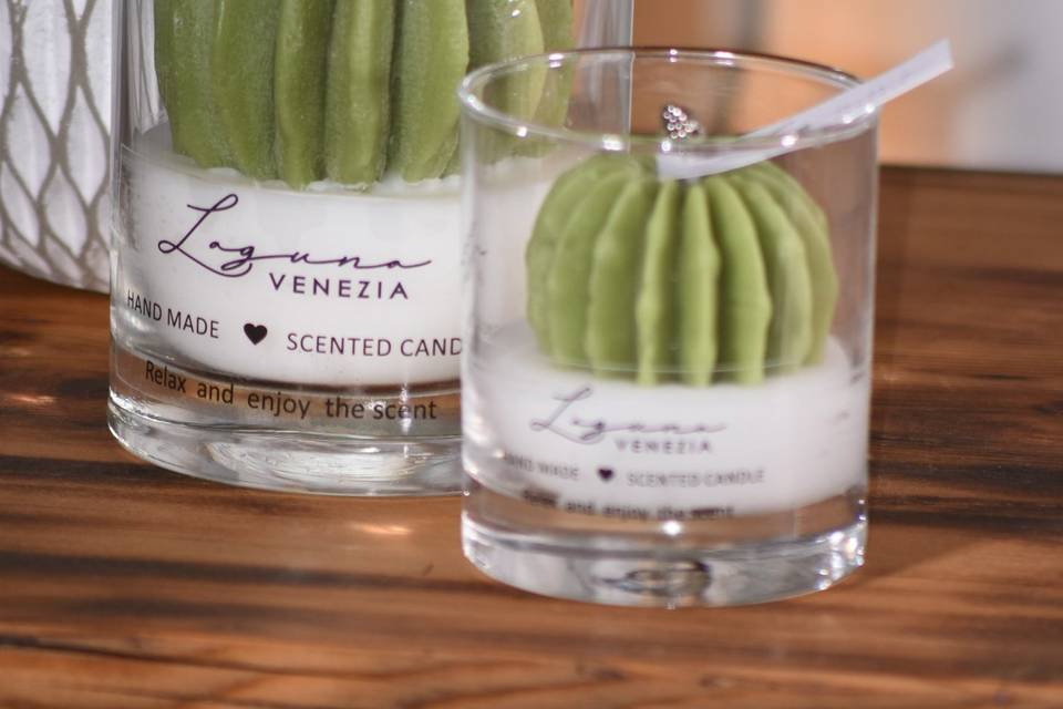 Candwla cactus
