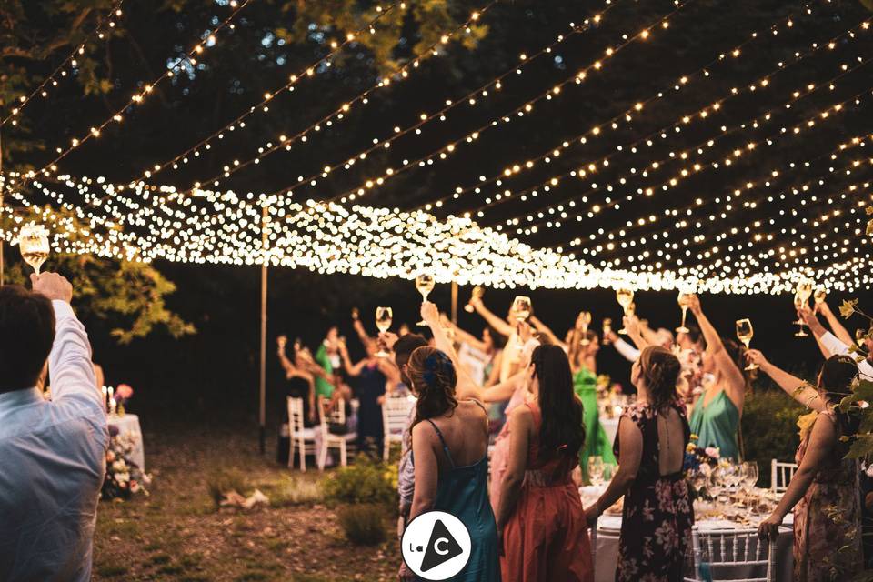 Wedding Lights