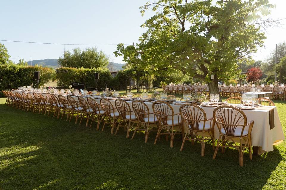 Giardino