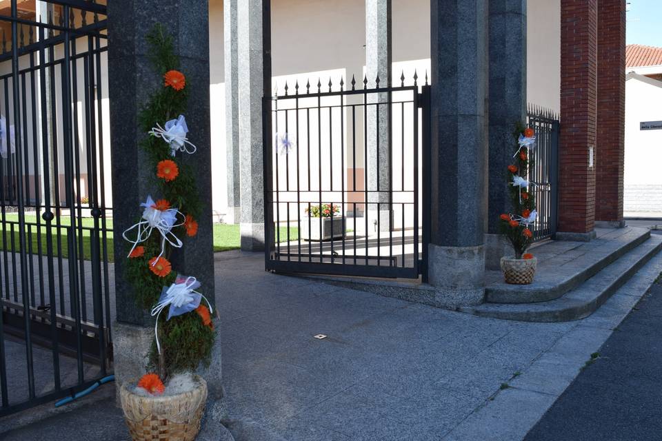 Piante esterne