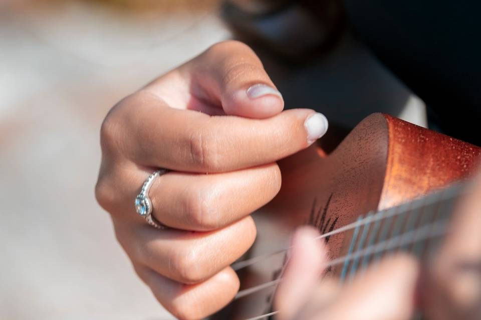 Ukulele e violino