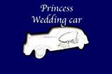 Princess wedding car