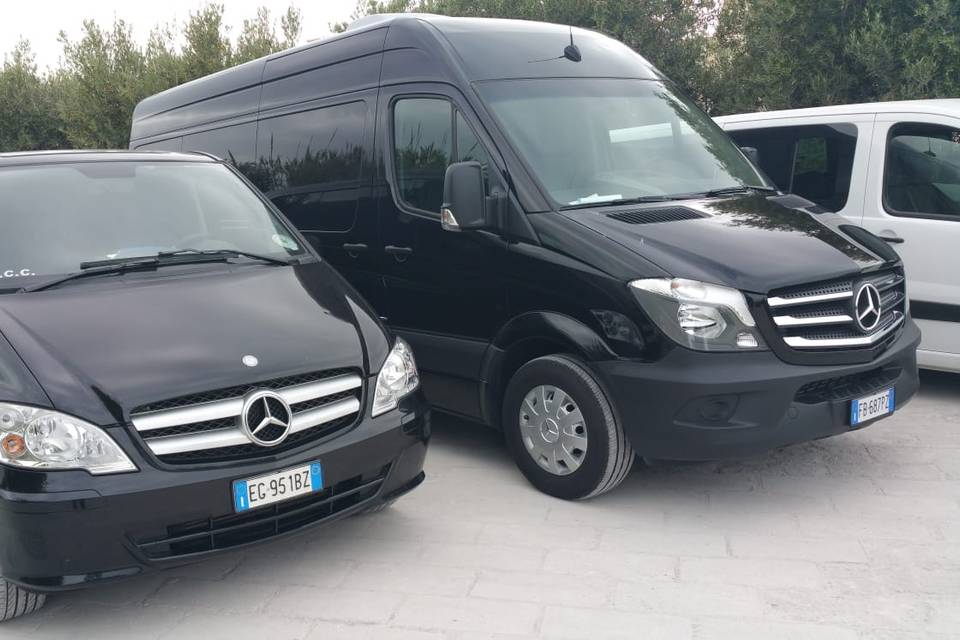 I nostri van e minivan