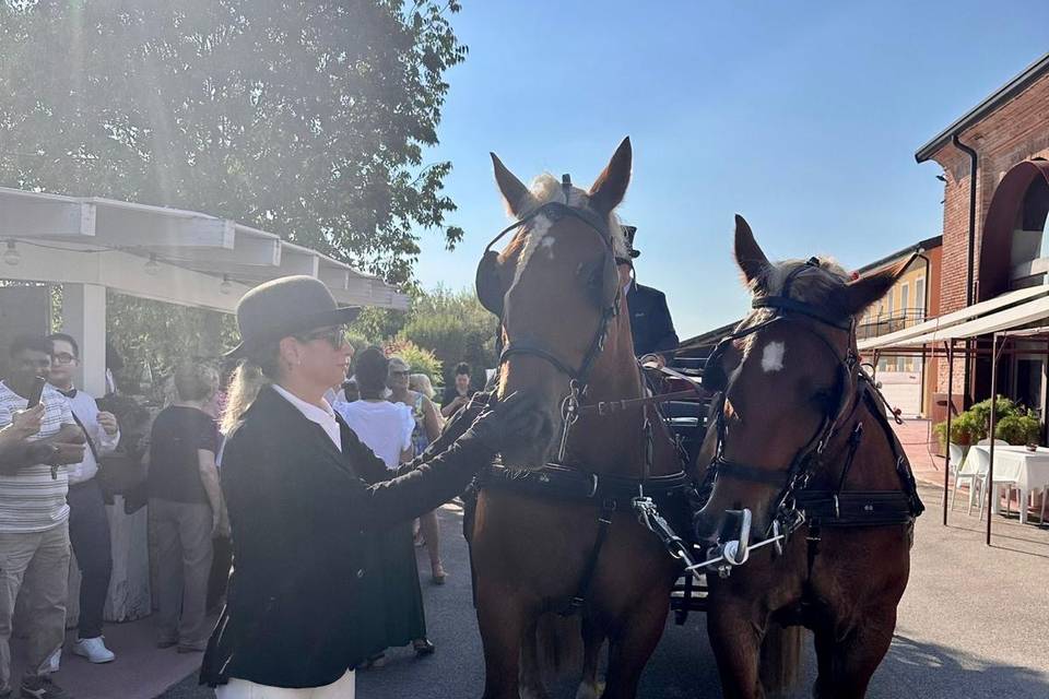 Carrozza matrimoniale