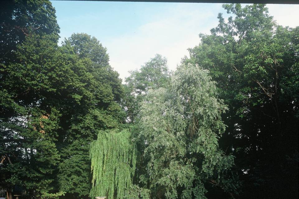 Giardino Palazzo Barbò