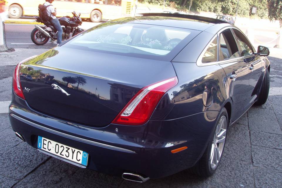 Jaguarxj