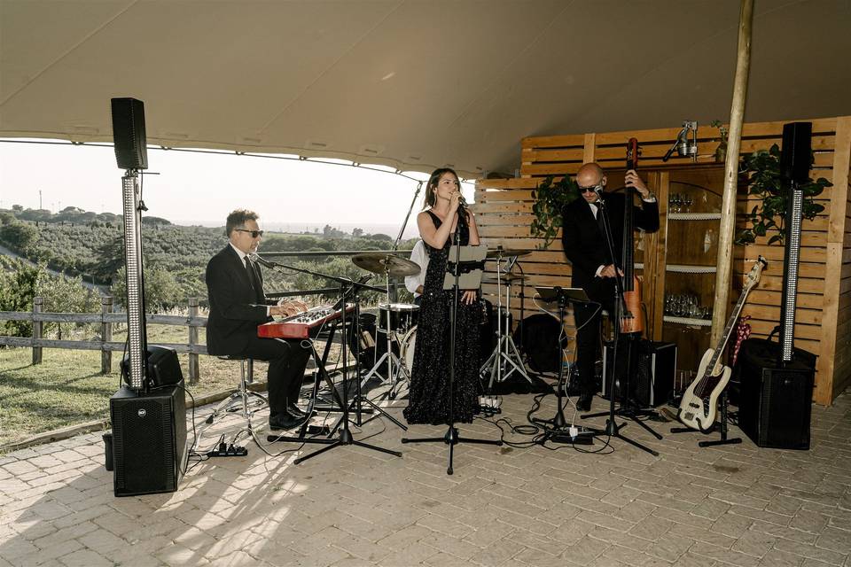 Music-wedding-band