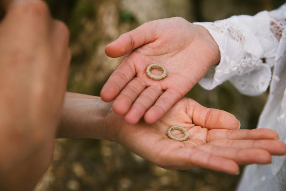 Same Sex Wedding