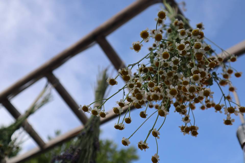 Masseria Abbracciavento