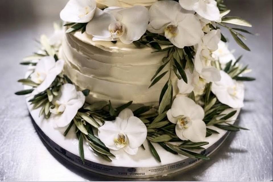 Ulivo e orchidea