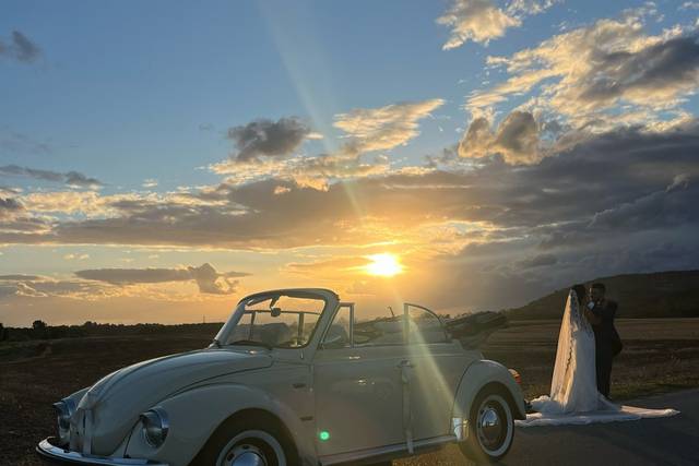 Maggiolino & Apecalessino Eventi