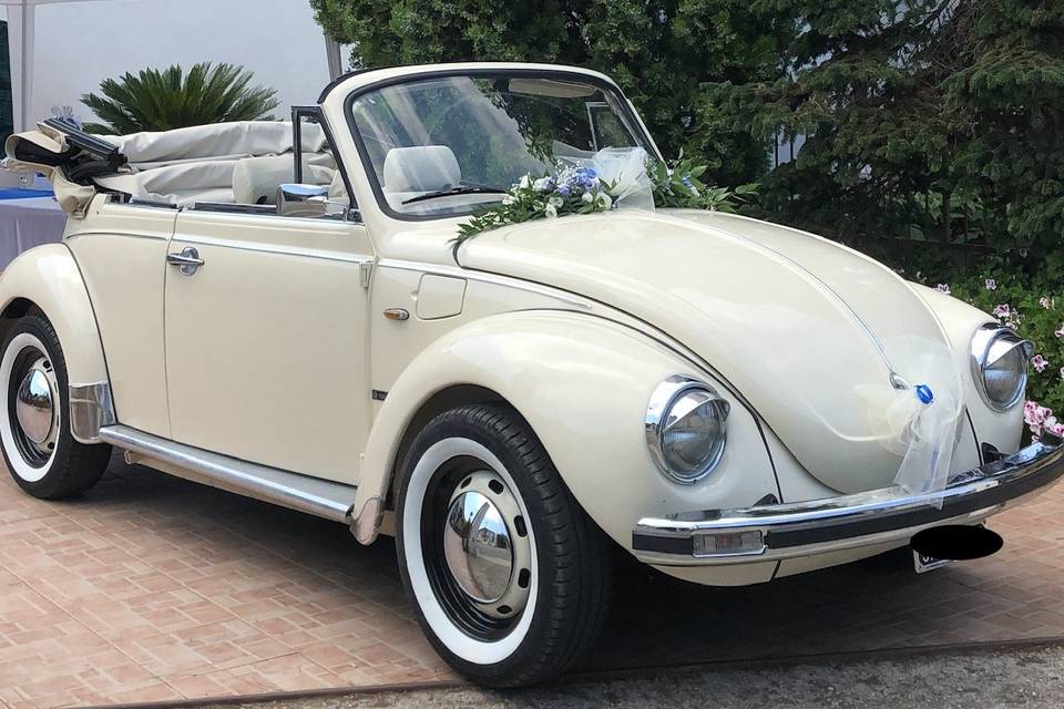 maggiolino cabrio