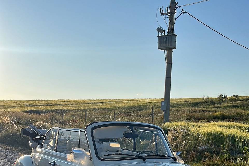 maggiolino cabrio