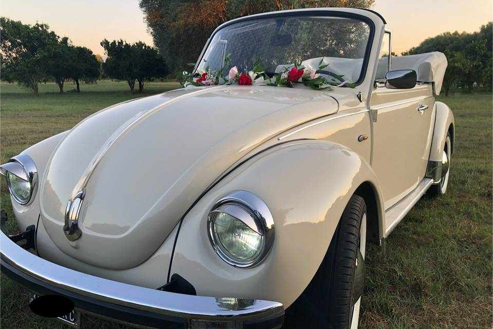 maggiolino cabrio
