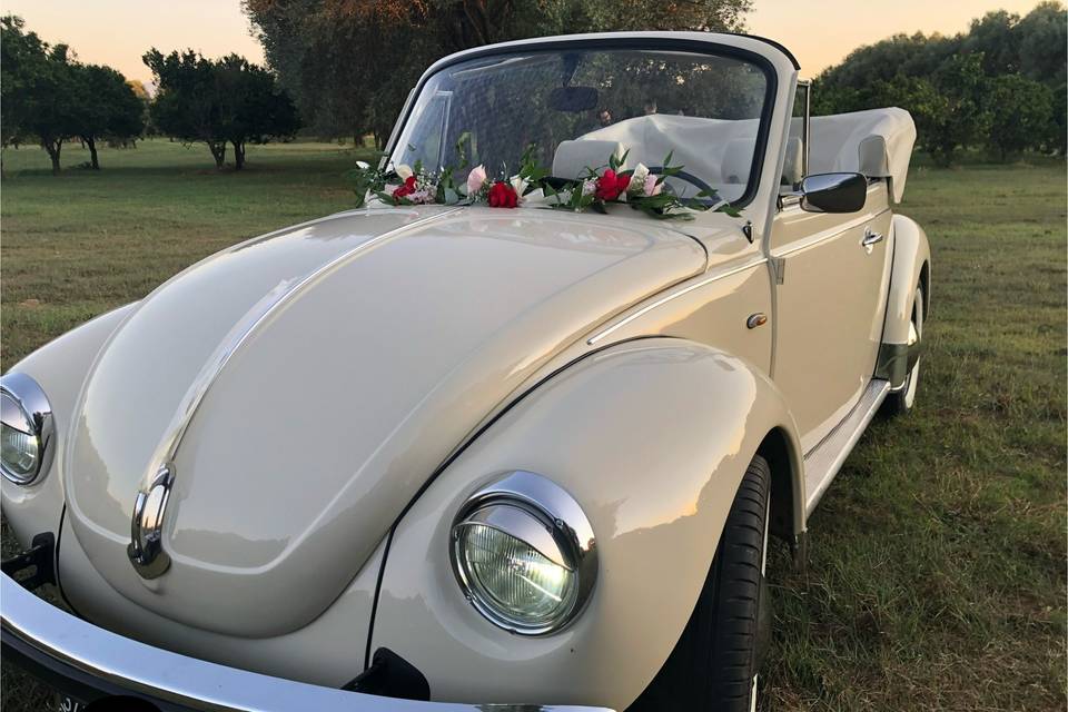 maggiolino cabrio
