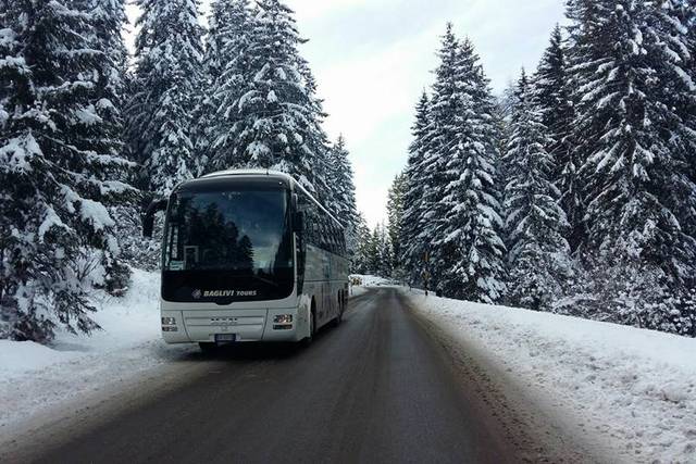 Baglivi Bus