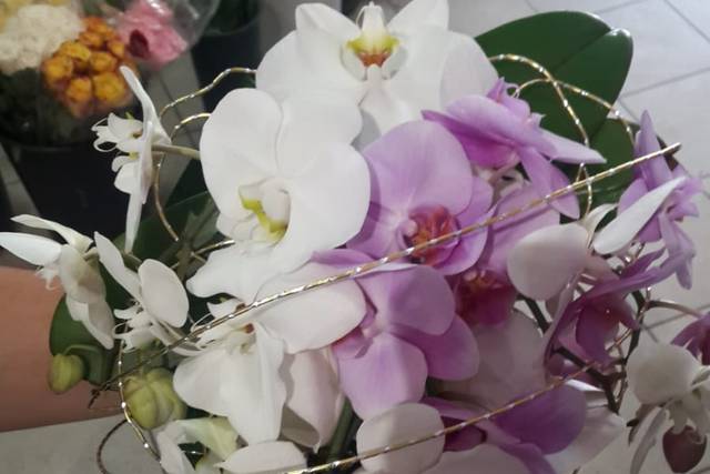 Bouquette da sposa con phaleno