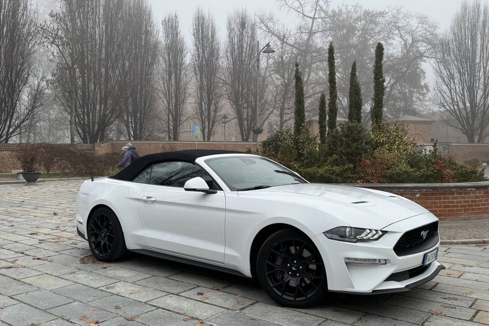 Mustang cabriolet bianca