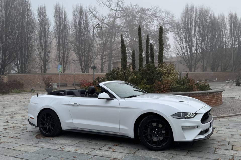 Mustang cabriolet bianca