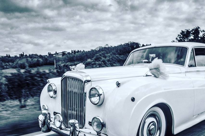 Bentley bianca