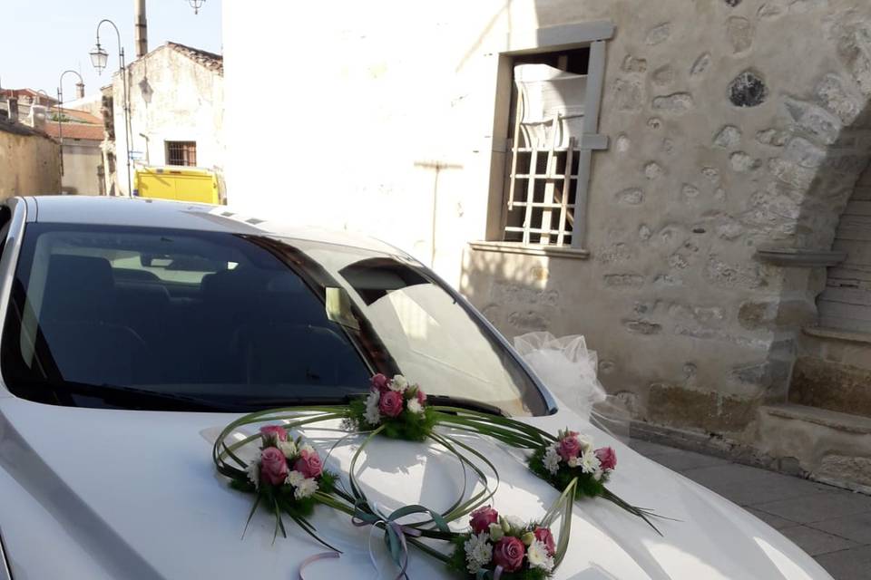 La Bottega Verde di Mura Manuela