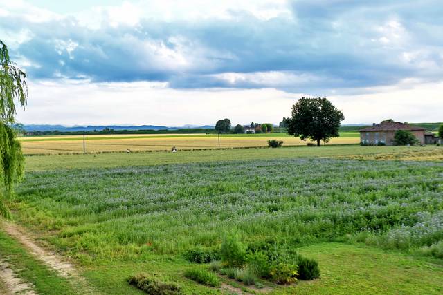 Degustazioni tipiche e primi particolari – Agriturismo Il Murello