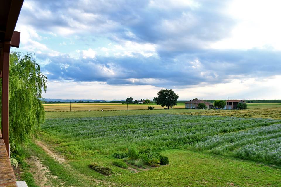 Agriturismo Il Murello